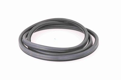 GARNITURA PARBRIZ VAICO V100086 8