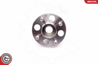 Wheel Bearing Kit 29SKV054