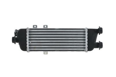 INTERCOOLER COMPRESOR HELLA 8ML366341001 2
