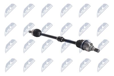 PLANETARA NTY NPWCH062 11