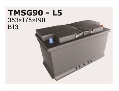 Стартерная аккумуляторная батарея IPSA TMSG90 для MERCEDES-BENZ T2/LN1