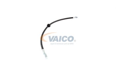 FURTUN FRANA VAICO V201909 51