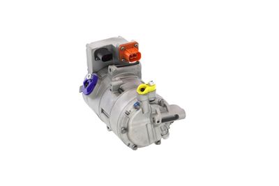 COMPRESOR CLIMATIZARE REMANTE 005001000373R 55