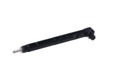 INJECTOR REMANTE 002003000134R 65
