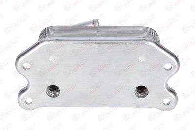 RADIATOR ULEI ULEI MOTOR BIRTH 80289 7