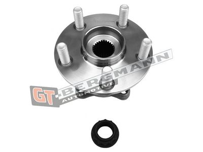 GT-BERGMANN Automotive Rato guolio komplektas