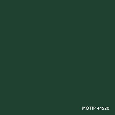 Vozidlo - kombinovaný lak MOTIP M44520