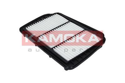 Air Filter F223001