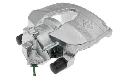 Jarrusatula LAUBER 77.5379