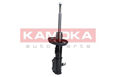 Shock Absorber 2000049