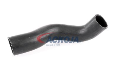 FURTUN EAR SUPRAALIMENTARE ACKOJA A380307 57