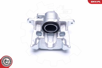 Brake Caliper 45SKV321