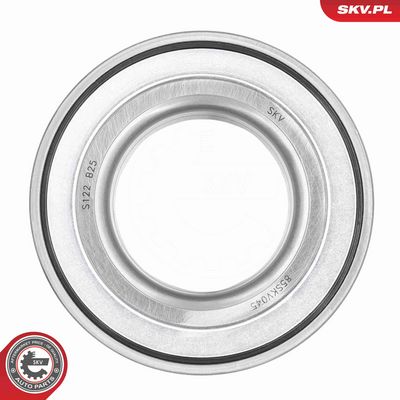 SET RULMENT ROATA ESEN SKV 85SKV045 2