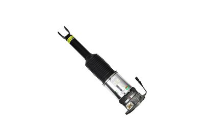 LUFTFEDERBEIN Arnott AS2958 55