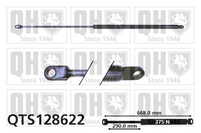 газов амортисьор, капак на двигателя QUINTON HAZELL QTS128622