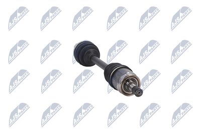 PLANETARA NTY NPWHD031 31