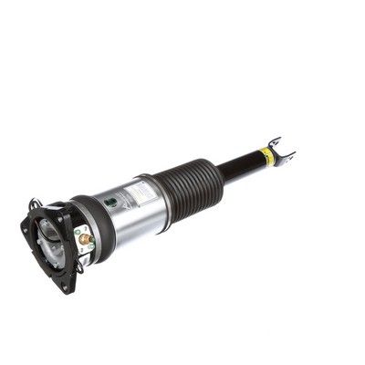 LUFTFEDERBEIN Arnott AS2959 49