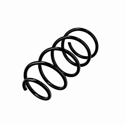 ARC SPIRAL EIBACH R10223 3