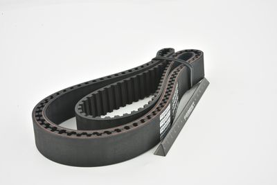 CUREA DE DISTRIBUTIE FEBEST 25140M705 42