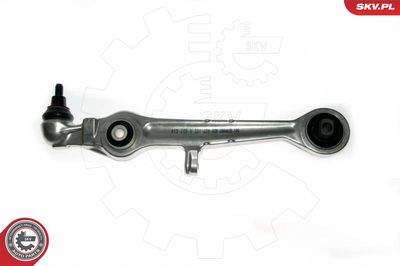 Control/Trailing Arm, wheel suspension 04SKV110