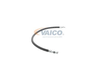 FURTUN FRANA VAICO V309926 49