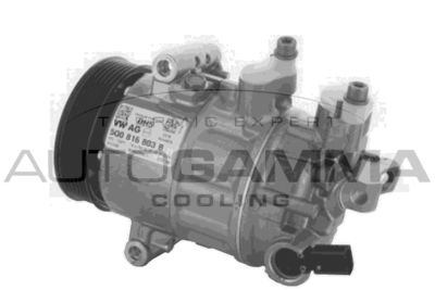 Компрессор, кондиционер AUTOGAMMA 118636 для AUDI A3