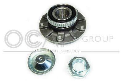 SET RULMENT ROATA OCAP 6120208