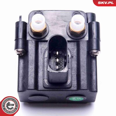 SUPAPA SISTEM SUPRAALIMENTARE ESEN SKV 93SKV814 3