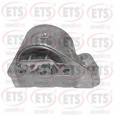 окачване, двигател ETS 04.EM.749