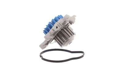 WASSERPUMPE MOTORKüHLUNG SKF VKPC83319 13