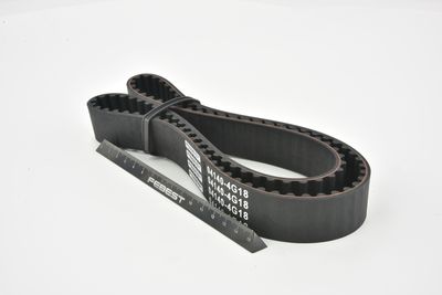 CUREA DE DISTRIBUTIE FEBEST 041404G18 9