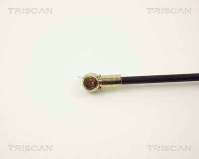 AMORTIZOR PORTBAGAJ KAWE 87102415 2