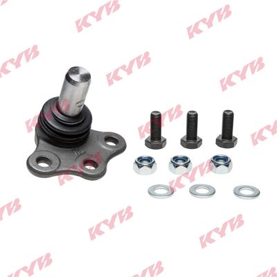 Šarnyras / girgždukas