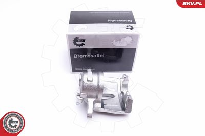 Brake Caliper 45SKV811