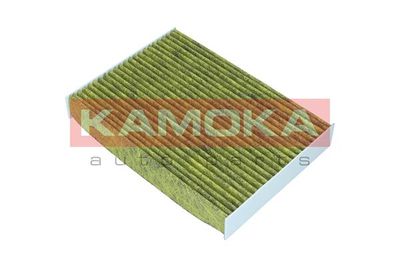 Filter, cabin air 6080160