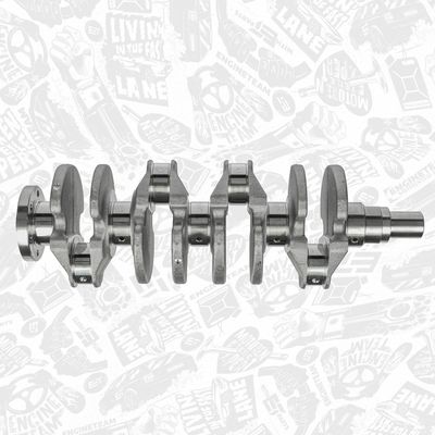 ARBORE COTIT ET ENGINETEAM HK0193 5