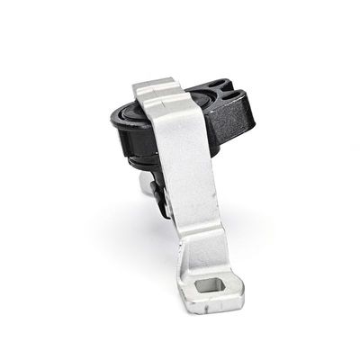 SUPORT MOTOR DELPHI TEM265 6