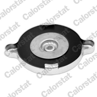 BUSON RADIATOR CALORSTAT by Vernet RC0053 1