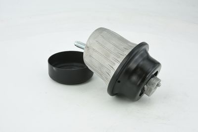 SUPORT MOTOR FEBEST TMGSE20F 32