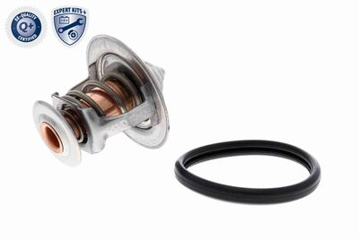 TERMOSTAT LICHID RACIRE