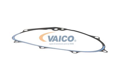 DICHTUNG STEUERGEHäUSE VAICO V105594 19