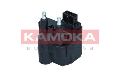 Ignition Coil 7120149