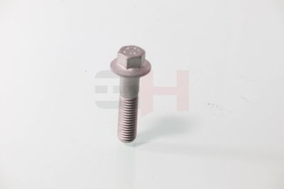 SURUB CAPAT DE AX GH GH392549 14