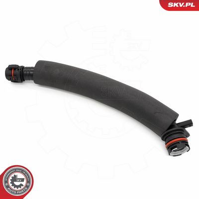 Žarna, karterio alsuoklis