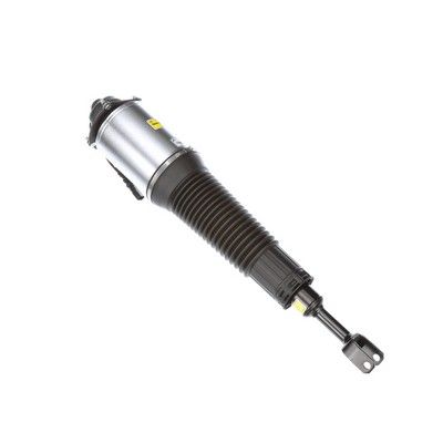 LUFTFEDERBEIN Arnott AS2778 55