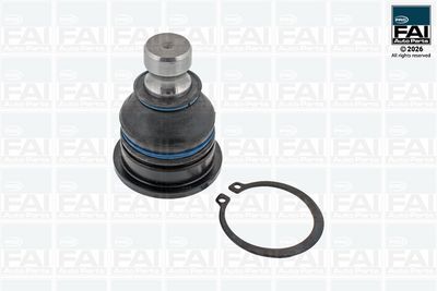 Шарнири FAI AutoParts FPBJ0294