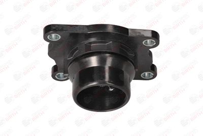 FLANSA LICHID RACIRE BIRTH 81798 1