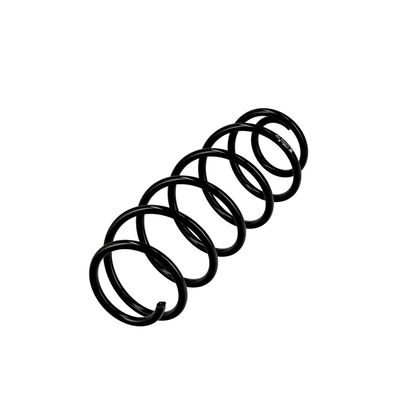ARC SPIRAL EIBACH R10034 15