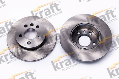 Brake Disc 6040195