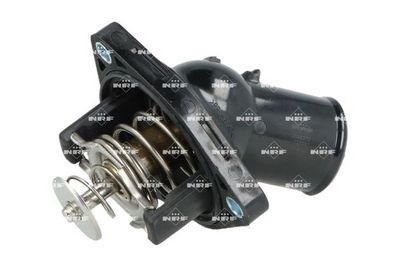 TERMOSTAT LICHID RACIRE NRF 725397 2